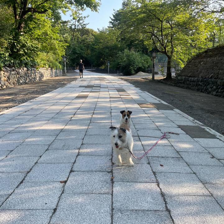 E13cc422 d7fa 48d3 a3ab 6b71f218dc23 1725921686298