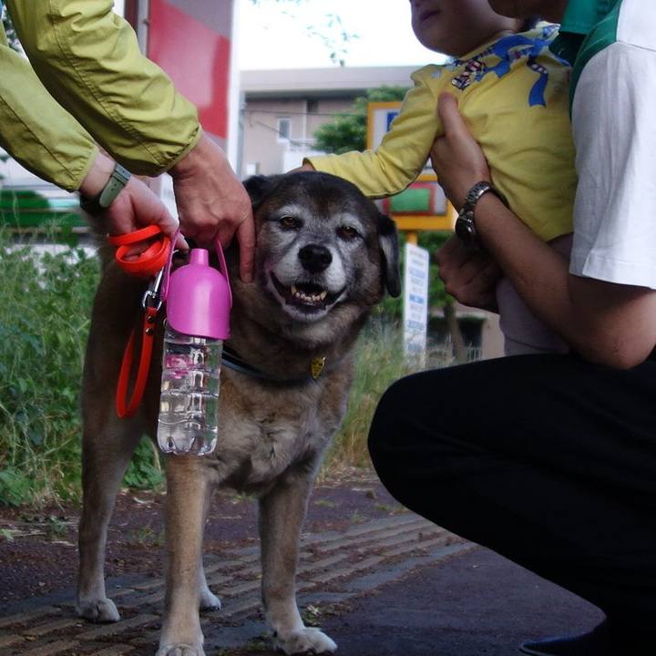 E13cddf3 8508 480d 8c87 fe63bf2ad4e7 1669339549931