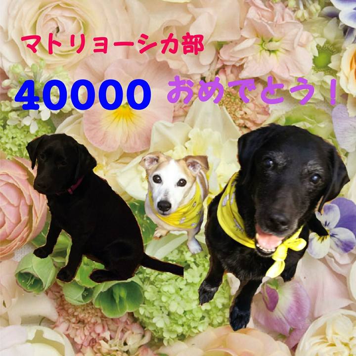 E13d4146 f499 4073 a8ab a667fb7565c4 1555596569169
