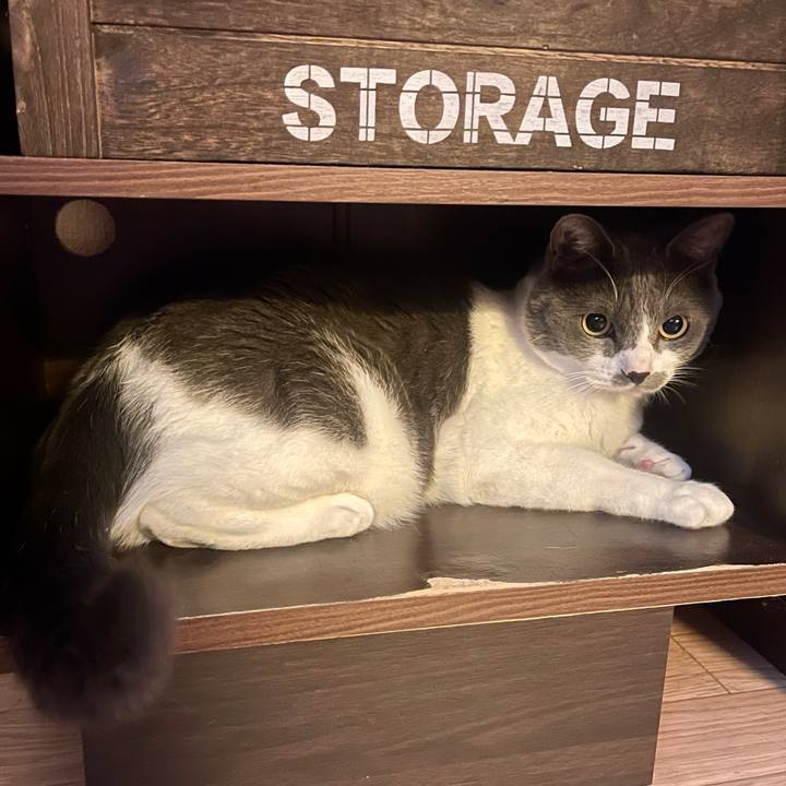 E13d451e 3f9f 40ed ba05 3927b8c8ffe7 1649805988539