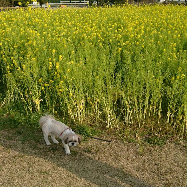 E13d7391 2ce2 42a6 b5ea 1914c1df41fd 1554556924293