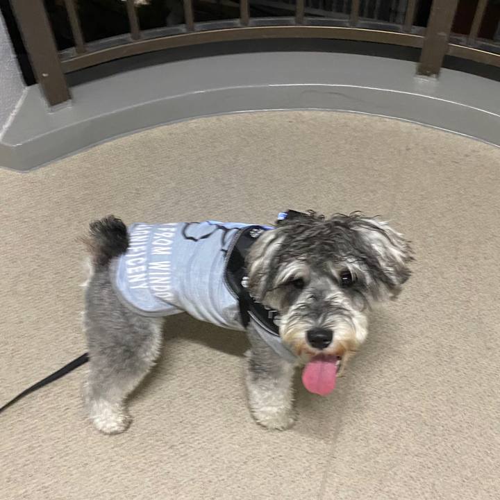 E13d94f5 316d 4950 abc2 897c54fb9659 1594993584083