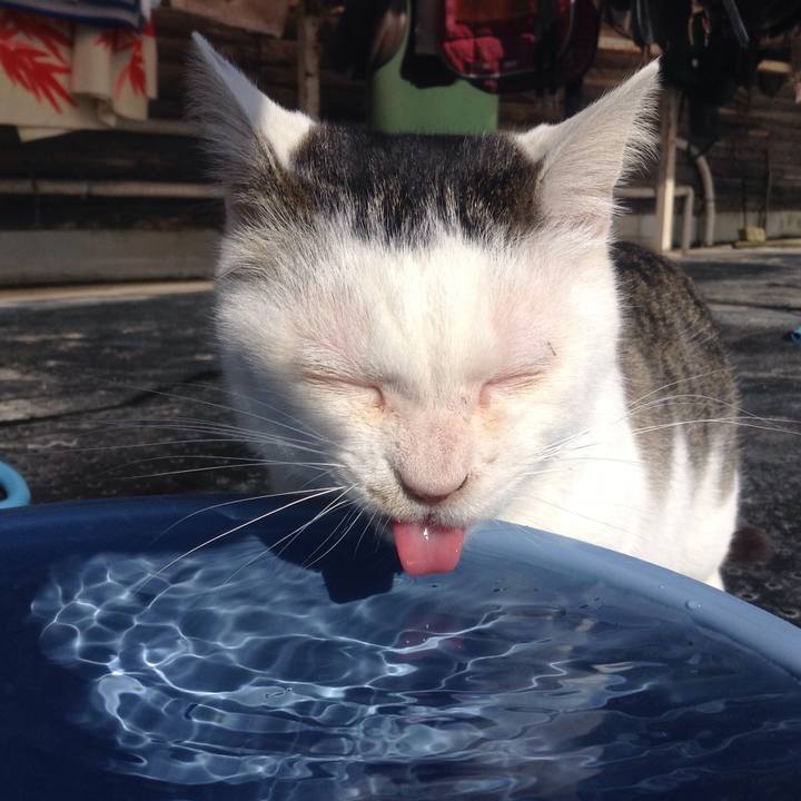 E13d963d c291 4759 a52a 35946088add0 1521344292001