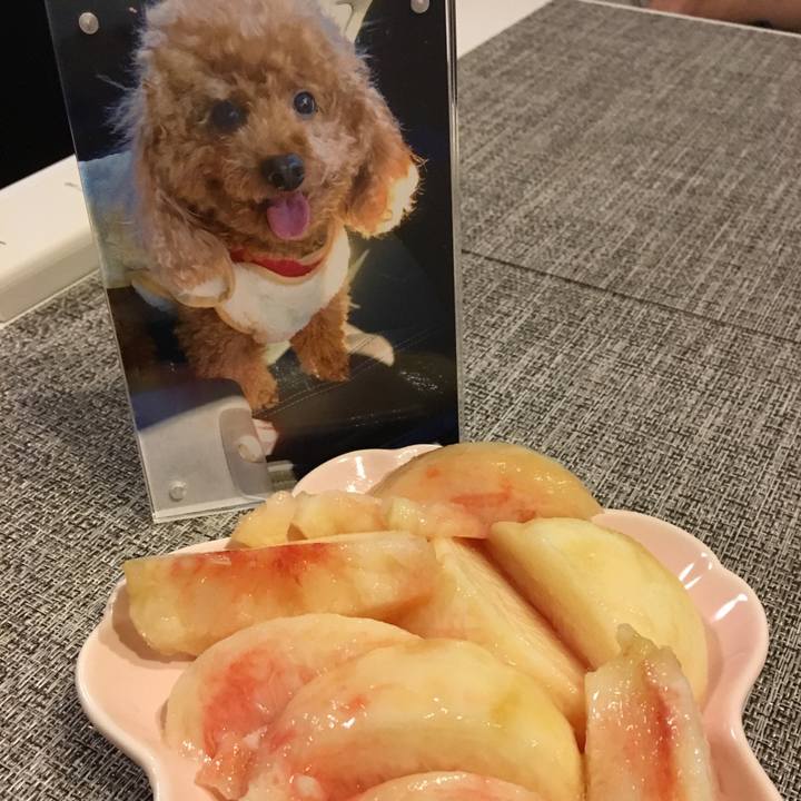 E13d9969 1bdb 4738 a3f2 c1dd287c8aae 1627877121145