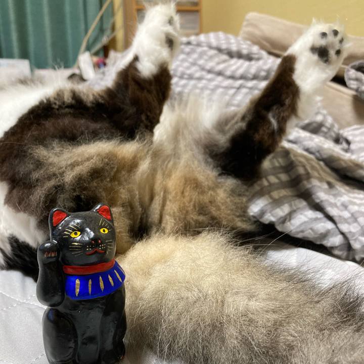 E13dbe85 63b5 43f8 b45b 591c514aec60 1719795852626