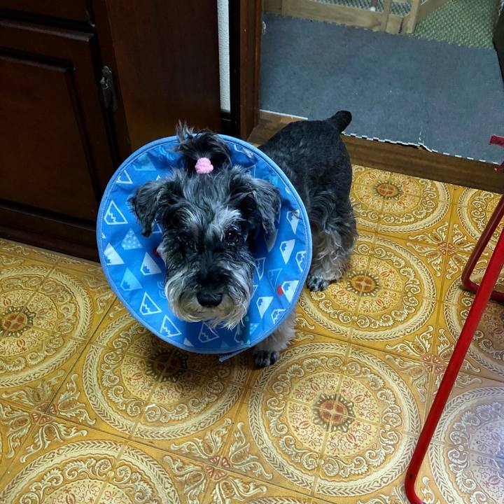 E13dbf18 d1c3 4a95 8dc8 7f9b85da542b 1685628168267