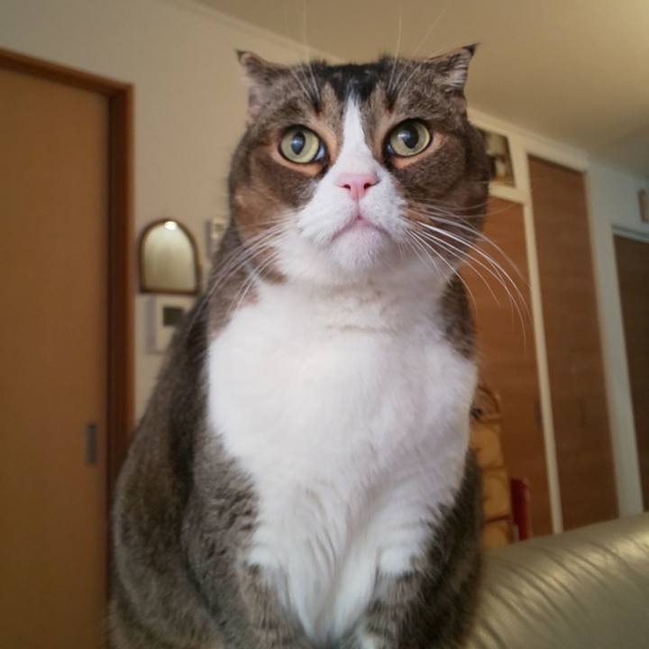 E13e006d f29d 441d a829 e32e1b9d2804 1645482454910