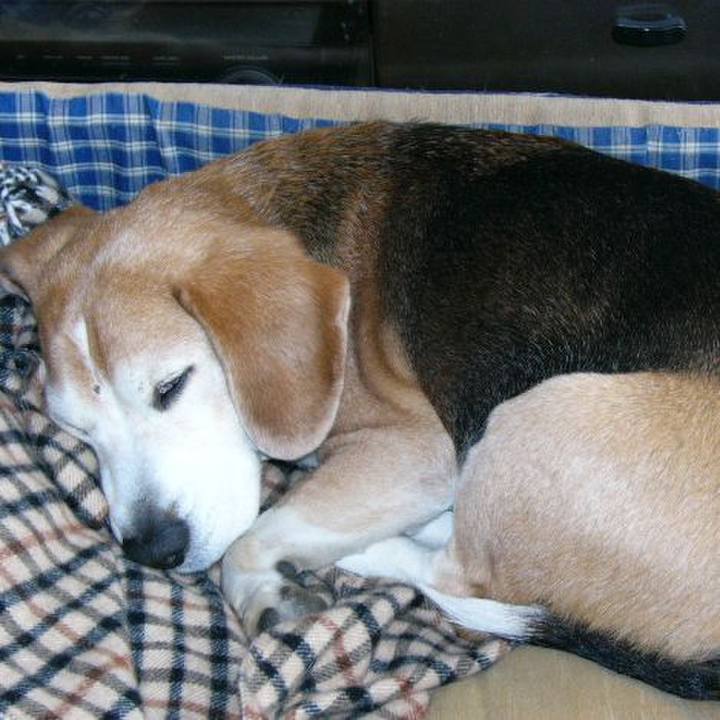 E13e3b43 4958 493a b615 d6e79d0df962 1645233070315