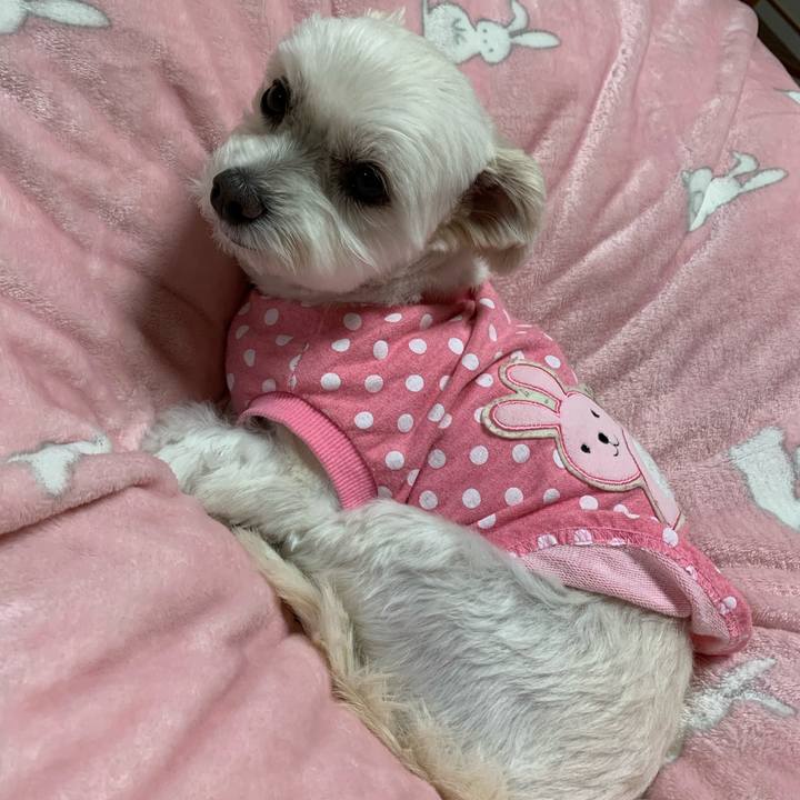 E13e6a59 ee6f 4437 aa44 adff54638aac 1574161176986