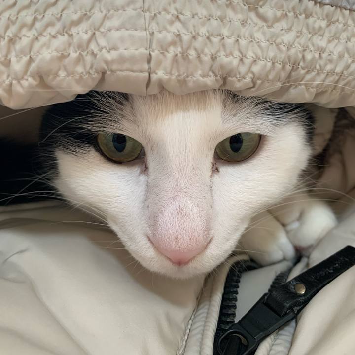 E13e6c74 ee81 4820 9b7c c97e77e8fb01 1640762697595