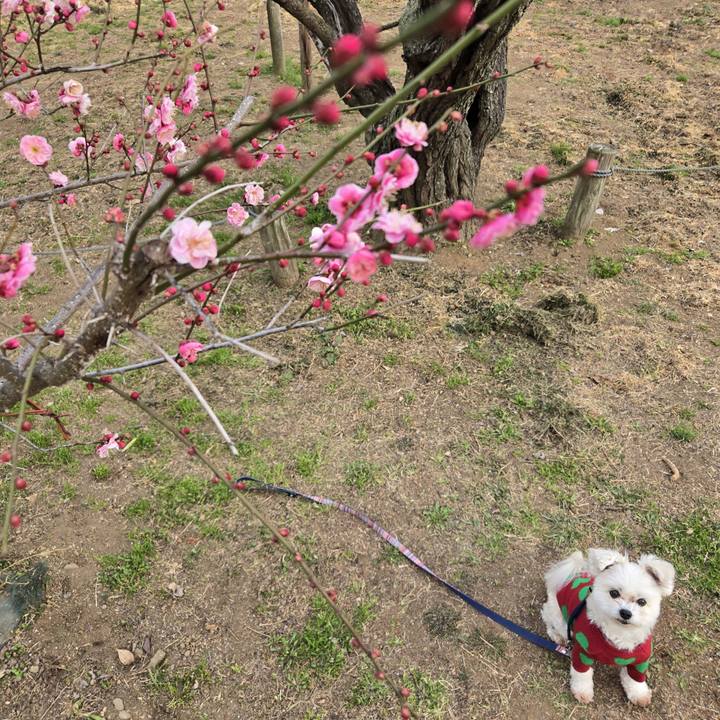 E13e7672 eaea 40f2 a2dd 0800adadba9f 1771070017327