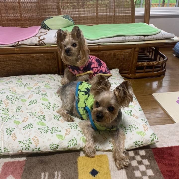 E13e95cb 18b3 4501 ba3c e707698dc79f 1653817882352