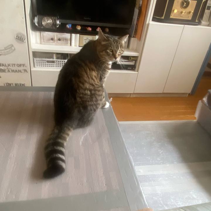 E13ea041 9690 44a0 ae4f 582b774d0c57 1648176416255