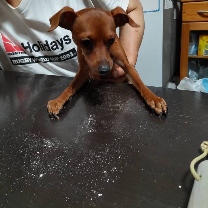 E13ea3f7 dd14 4f19 8417 4fe437a54ddf 1694676572736