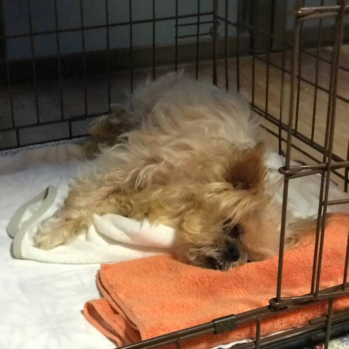 E13eb595 2fee 4881 8bcf 3ae682fc0454 1598175054844