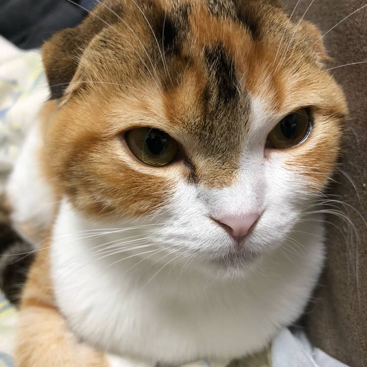 E13f0293 7616 452b b207 331eb756396a 1519564742672