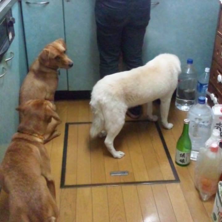 E13f078e a6b6 43c0 a45a b45c2f8726a5 1516731366726