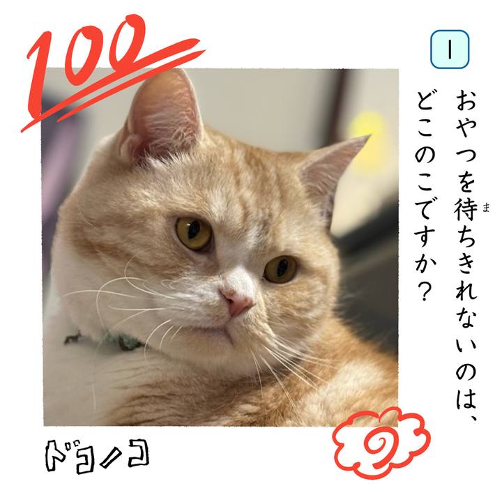 E13faa83 9b85 4014 b3e2 266bec0037be 1744438574488