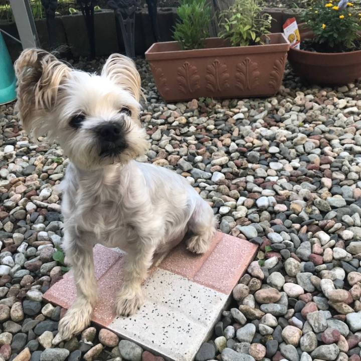 E1401ab2 2b02 42fe a6bc eb24900d7bbc 1566635315836