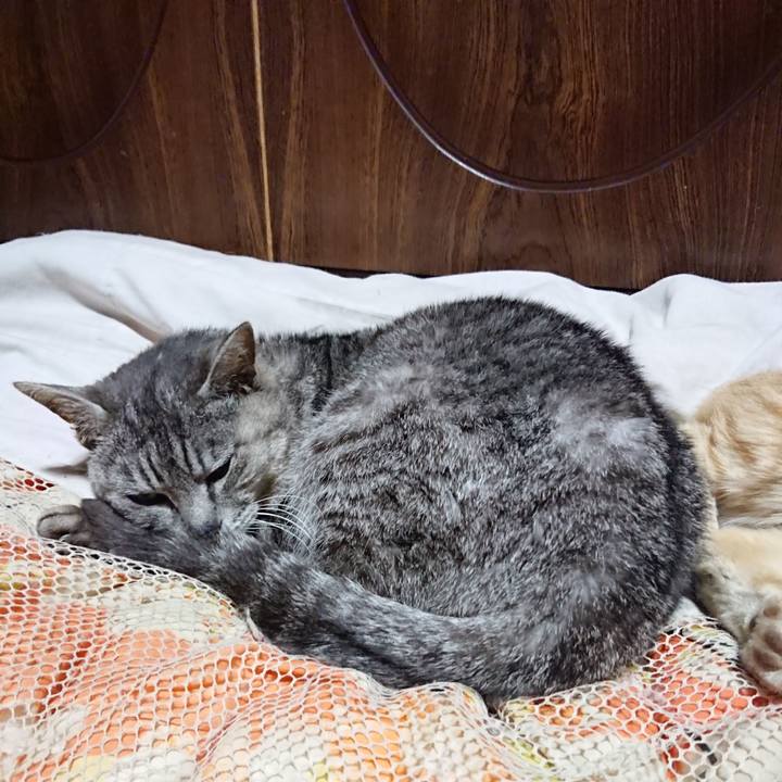 E1402bed 5b05 4975 b7eb 290f30edc231 1591102887417