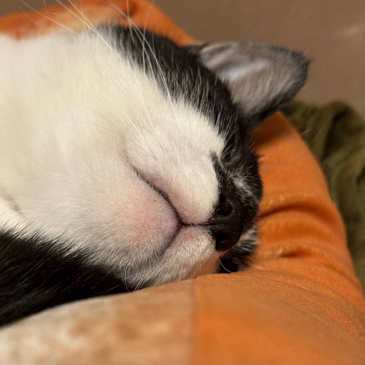 E1402f60 08d2 491a 8359 4ac3dee032ad 1774234398660