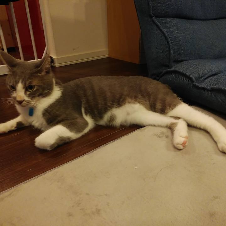 E140b370 1848 4bc5 9a60 91b2a6e0838f 1595251023806