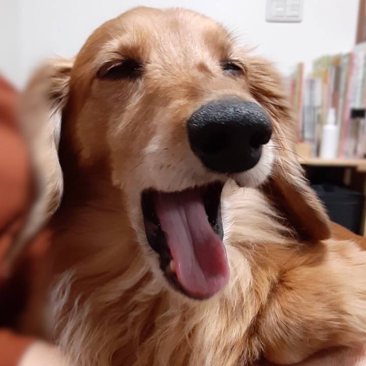 E140befc e13b 4e48 971e add818746295 1614516414519