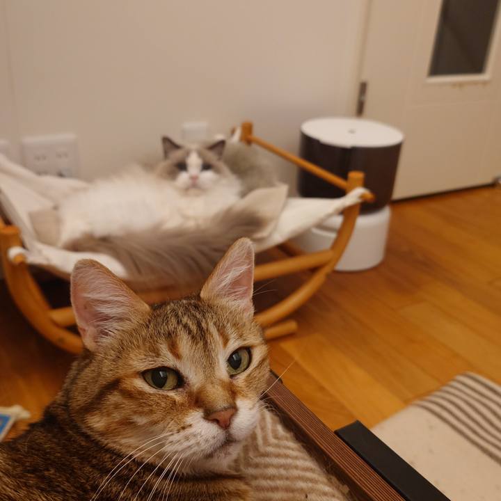 E141216c 5248 4186 a9a8 b3d13dfd9831 1773232304906