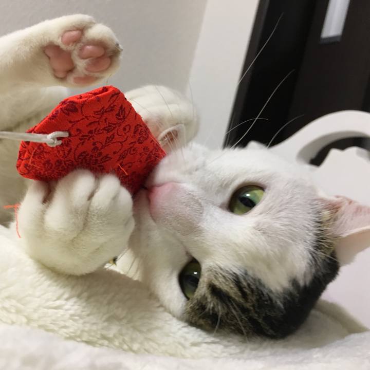 E141660f 3c5f 4b82 803d dbf389ccff0f 1513914935827