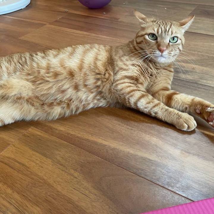 E1418755 05a0 4eee 85c1 aaef41277b83 1745477425207