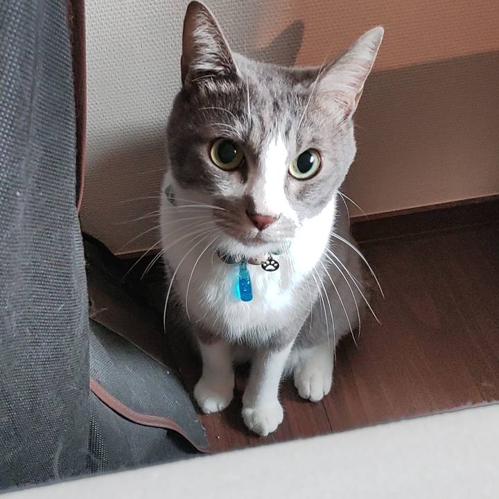 E1419528 3d78 4c11 a96e 4966f69dd42e 1699491564880