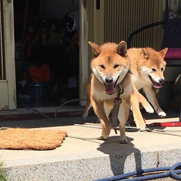 E141c8f7 9864 4ffe 96fe 09d6c4af41af 1568437957403