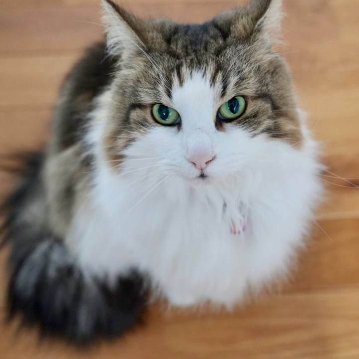 E141df9f 0136 4e63 9dbd 7efa68938cab 1713776871098