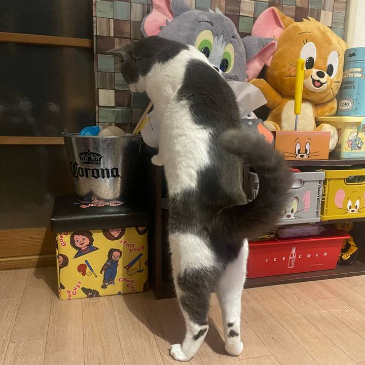 E141f49e 3c08 4285 84df 2baf28494247 1690297558768