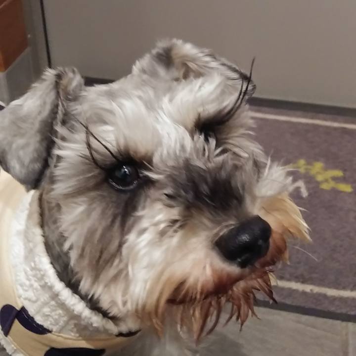 E141f7f8 7256 442f 9fc3 8a47d07b8b7a 1611785390712