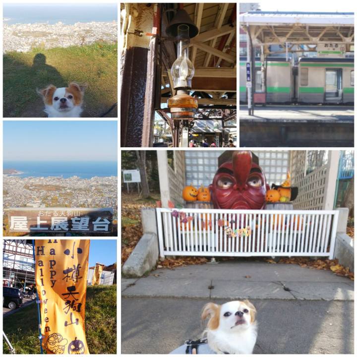 E1426488 9efd 4fd5 ae30 3f9bb0a0742a 1508996763031