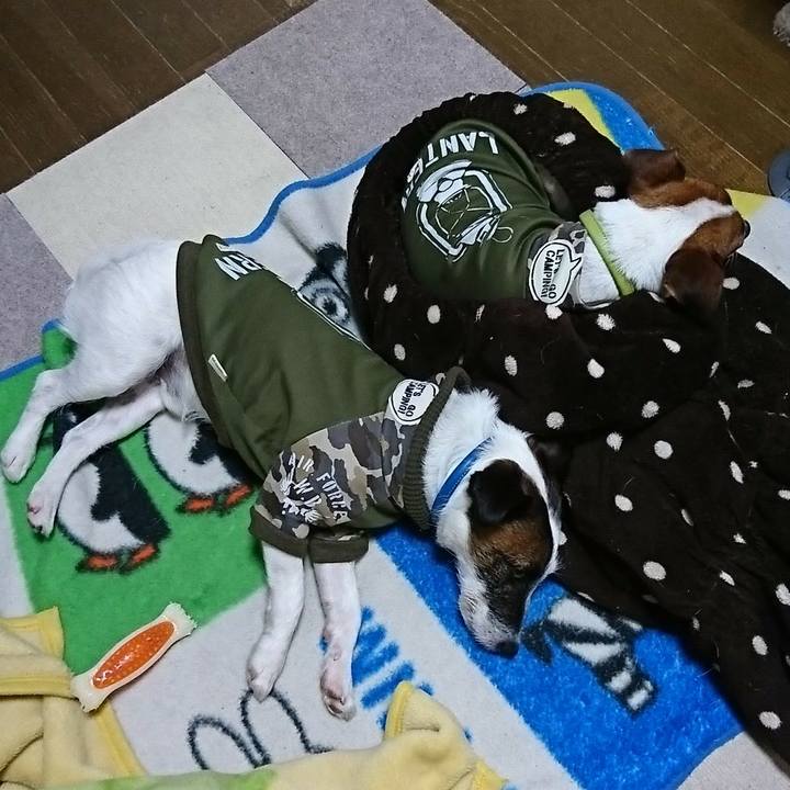 E1426d0f cf1c 4463 8274 7f4326d7e581 1585664397812