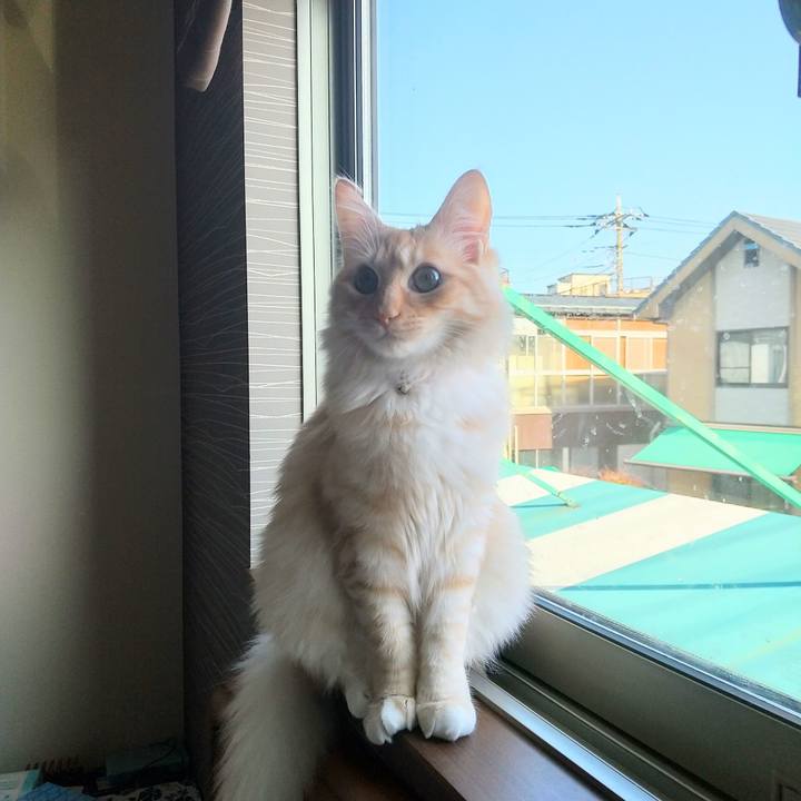 E1427074 4209 4a0f 8fb5 817780bdb796 1619220865843