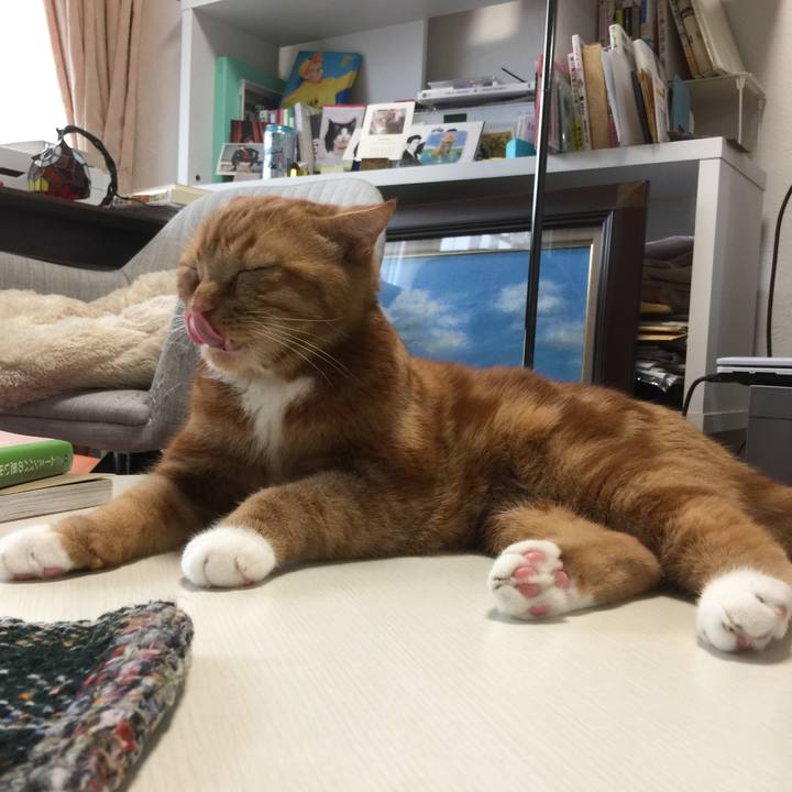 E1429f95 0593 488c 866a b4223c0e7657 1578802763680