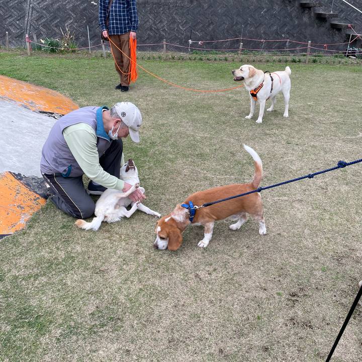 E142a5b9 5a05 44fc af56 1dc2df556a03 1679652490359