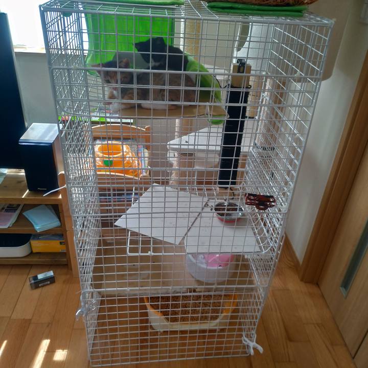 E142acb2 fb99 4a0e 9142 9a0fa6a0d2e1 1567384716831