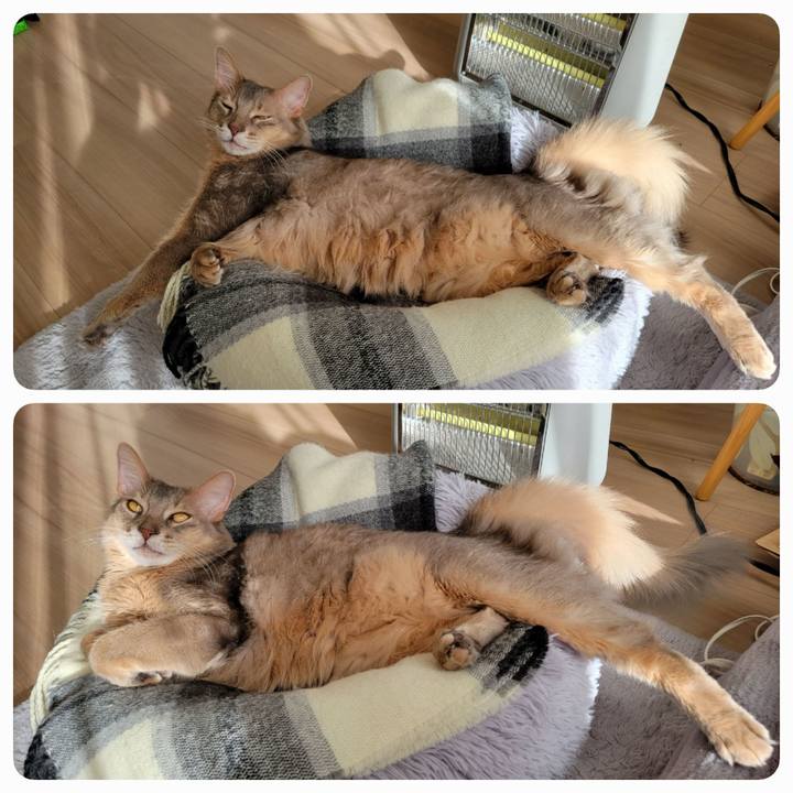 E1433bc8 a5ed 4ef9 8d55 0b09131648ef 1672881756760