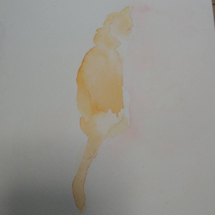 E143410d 7843 4c6a 811e 7d008ad14a0b 1558860798725