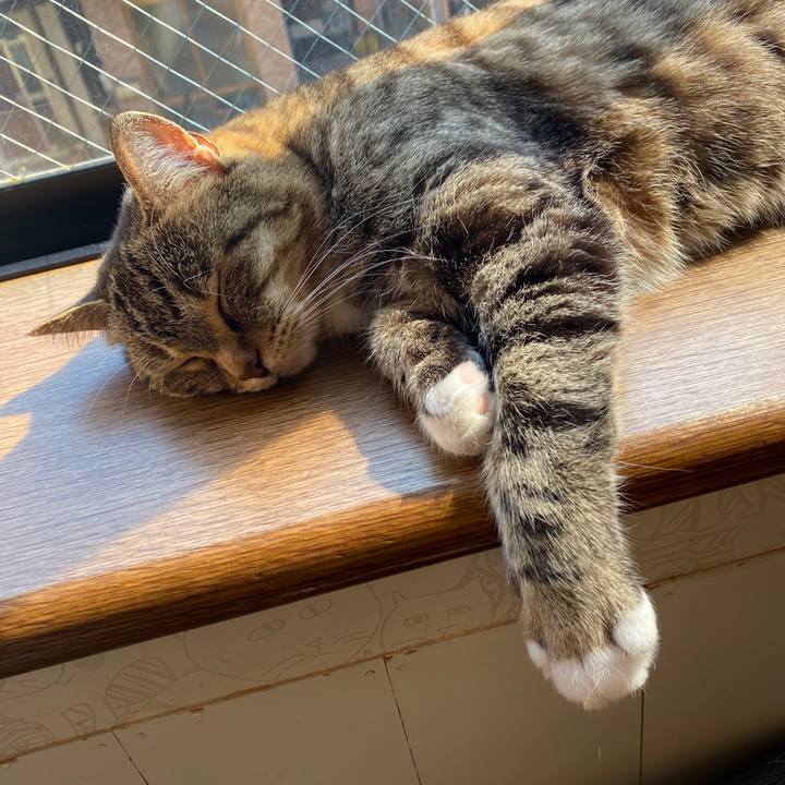 E1434379 93c8 4ba6 a465 775888dc4749 1585979133826