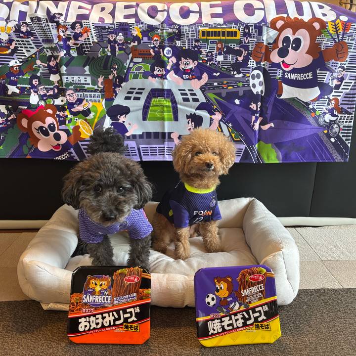 E14345ab 6654 454f 99d9 0b2ea6929ce1 1761928101965