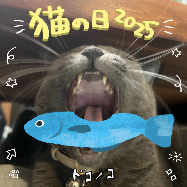 E1434e10 a014 47f1 8c9d 93cb8441a894 1740104779870