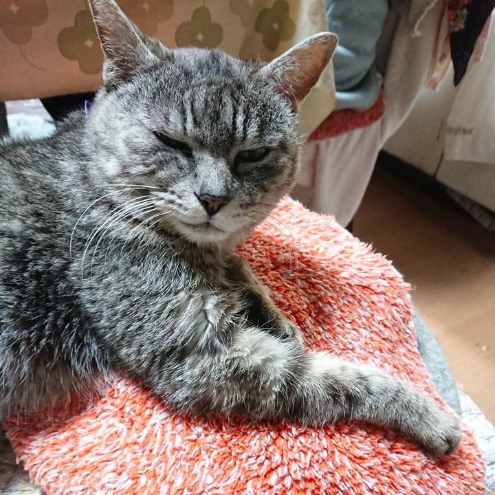 E1439695 36b4 486b 98b4 b5f91a957e0f 1583141572920