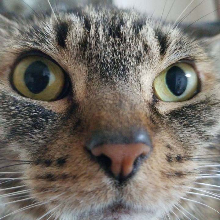 E143a465 d755 49bd a8c6 c0c21681b29a 1568421117964