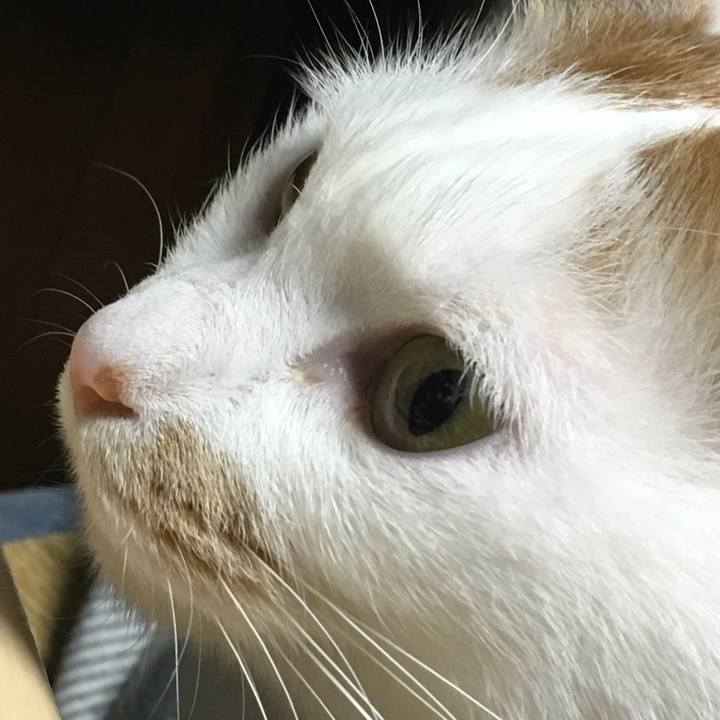 E143bcd3 988c 40ac ab87 650aeb4a747b 1512597515936