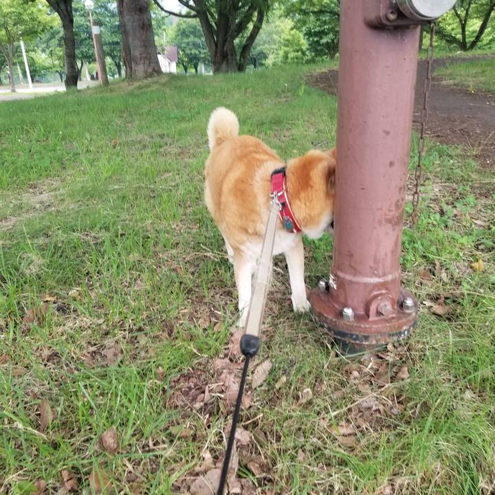 E143e220 43cf 4af7 a6e0 f2f269cf7297 1750580142832